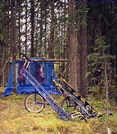 Meat_Carts_b.jpg (25433 bytes)